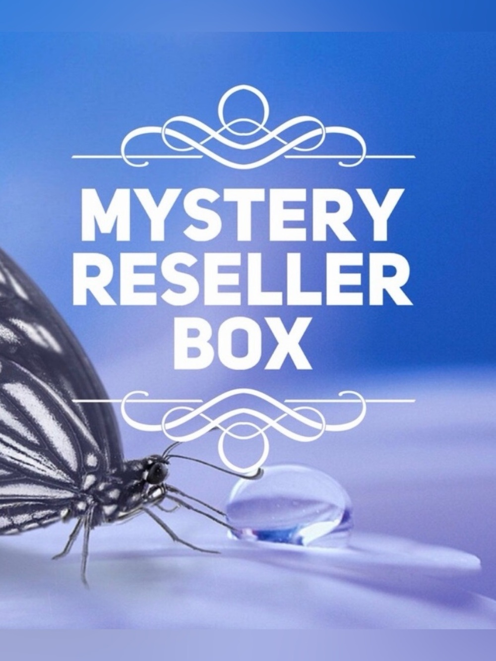 RESELLER BOX